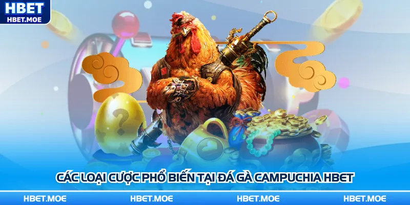 Các loại cược phổ biến tại đá gà Campuchia Hbet Các loại cược phổ biến tại đá gà Campuchia Hbet