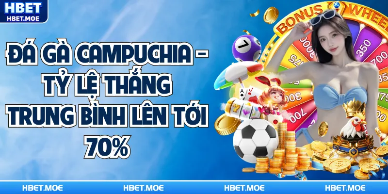 Đá Gà Campuchia - Tỷ Lệ Thắng Trung Bình Lên Tới 70%