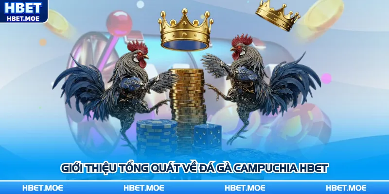 Giới thiệu tổng quát về đá gà Campuchia Hbet Giới thiệu tổng quát về đá gà Campuchia Hbet