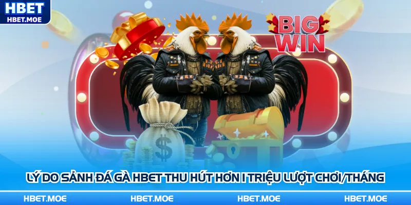 Lý do sảnh đá gà Hbet thu hút hơn 1 triệu lượt chơi/tháng Lý do sảnh đá gà Hbet thu hút hơn 1 triệu lượt chơi/tháng