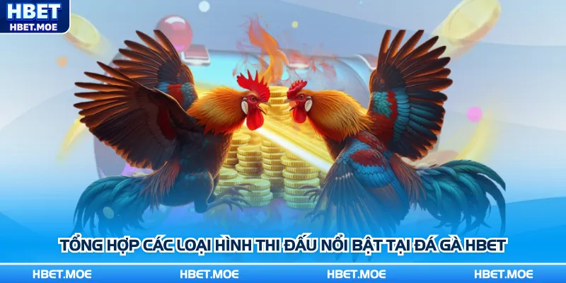 Tổng hợp các loại hình thi đấu nổi bật tại Đá gà Hbet Tổng hợp các loại hình thi đấu nổi bật tại Đá gà Hbet